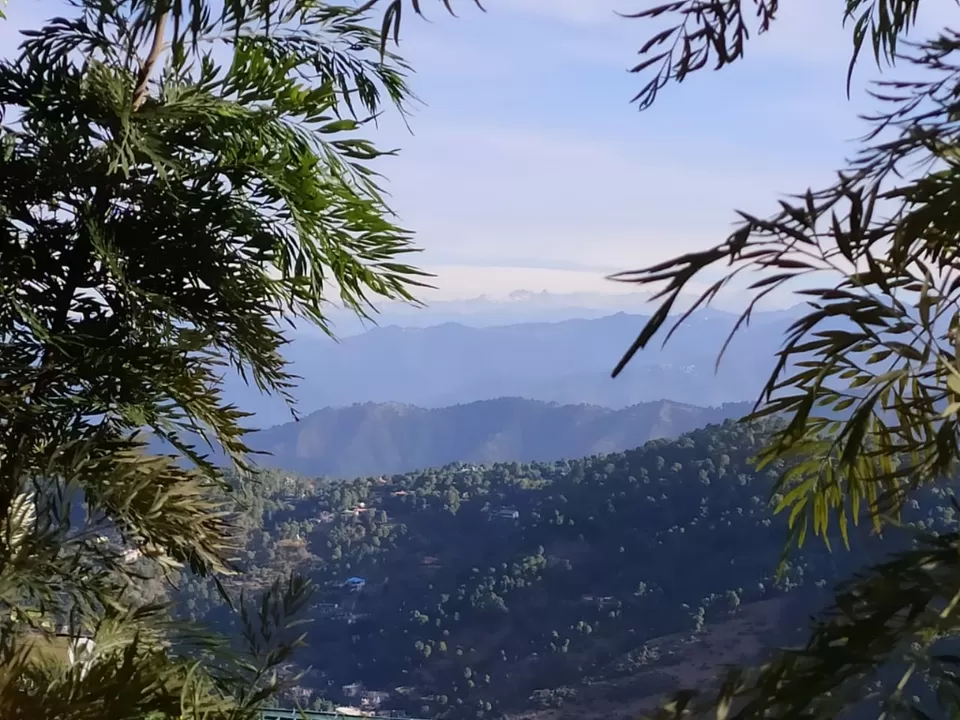 Photo of Kasauli Exotica, Garkhal - Madhiyana Road, Kasauli, Himachal Pradesh, India by soup