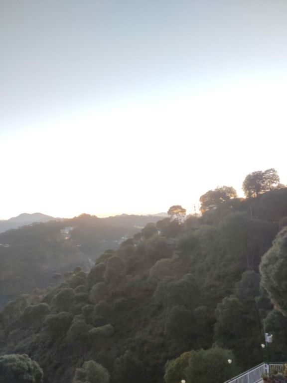Photo of Kasauli Exotica, Garkhal - Madhiyana Road, Kasauli, Himachal Pradesh, India by soup