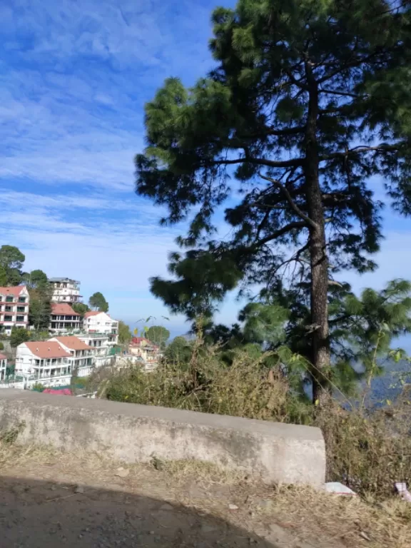 Photo of Kasauli Exotica, Garkhal - Madhiyana Road, Kasauli, Himachal Pradesh, India by soup