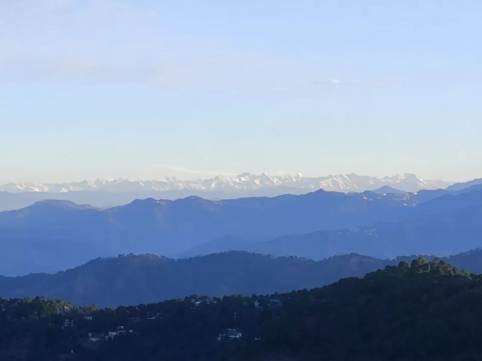 Photo of Kasauli Exotica, Garkhal - Madhiyana Road, Kasauli, Himachal Pradesh, India by soup