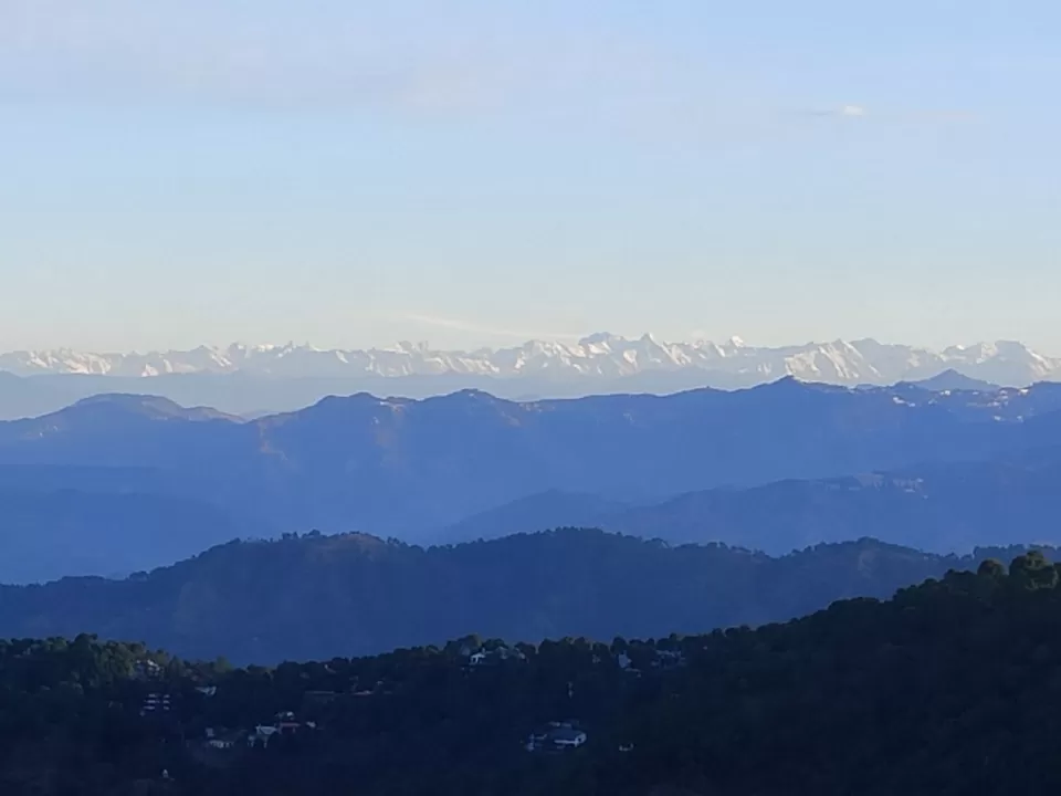 Photo of Kasauli Exotica, Garkhal - Madhiyana Road, Kasauli, Himachal Pradesh, India by soup