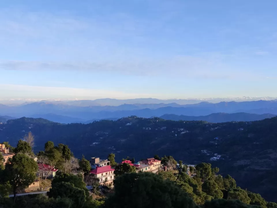 Photo of Kasauli Exotica, Garkhal - Madhiyana Road, Kasauli, Himachal Pradesh, India by soup