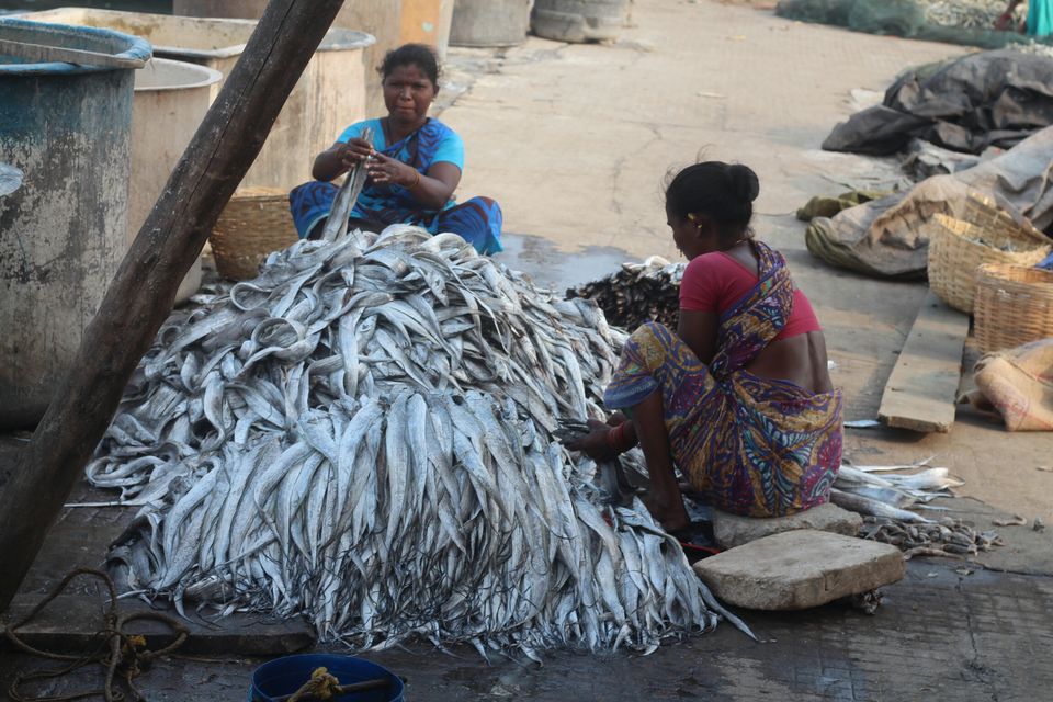 Photo of Sudden plan to Aaraku by AMAR ReddY