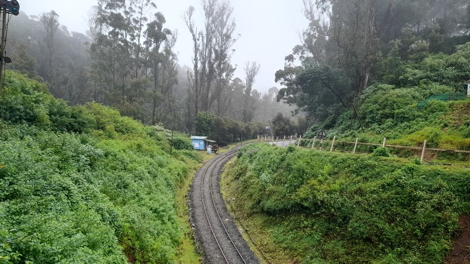 Photo of Wandering into Nilgiris : Unlocking less travelled beauty of Ooty by Thirunesh N