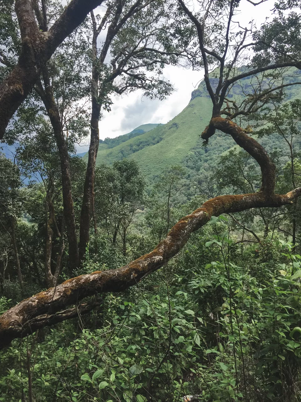 Photo of Rani Jhari Edge Point, Balige, Karnataka, India by Shravan K Acharya