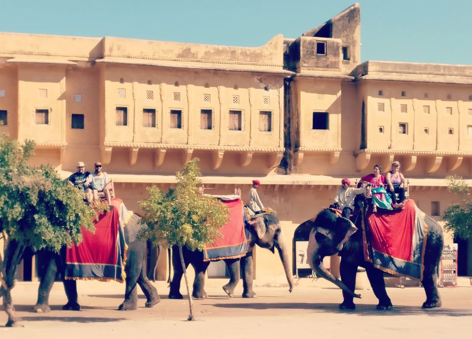 Photo of Two days in the pink city (Jaipur) 2/3 by bhavna sultana