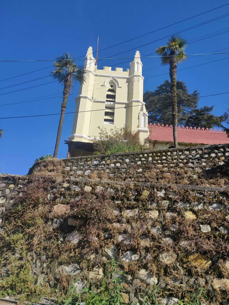 Photo of Solo trip to Dehradun and Mussoorie! by Swati Singh