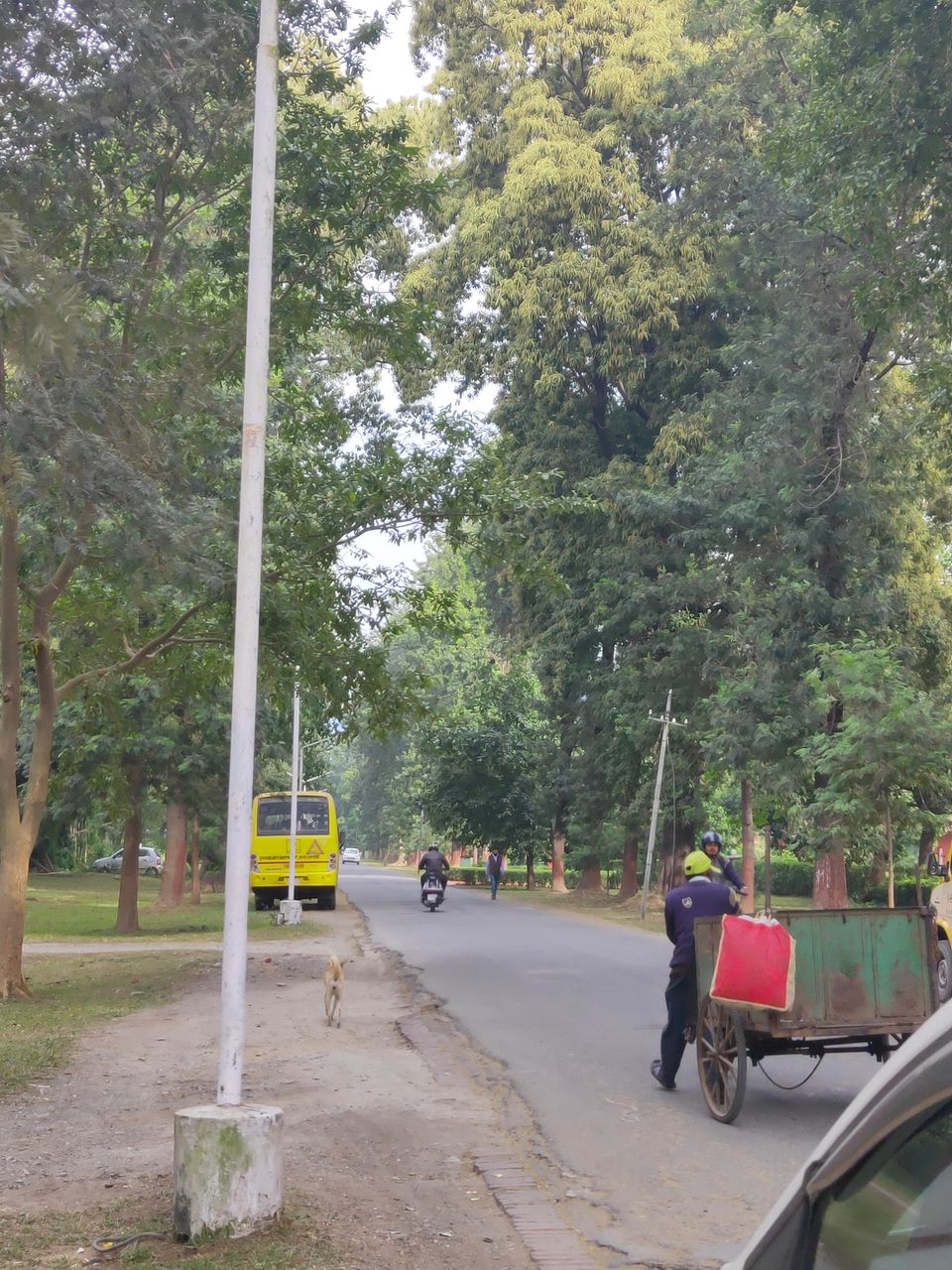 Photo of Solo trip to Dehradun and Mussoorie! by Swati Singh