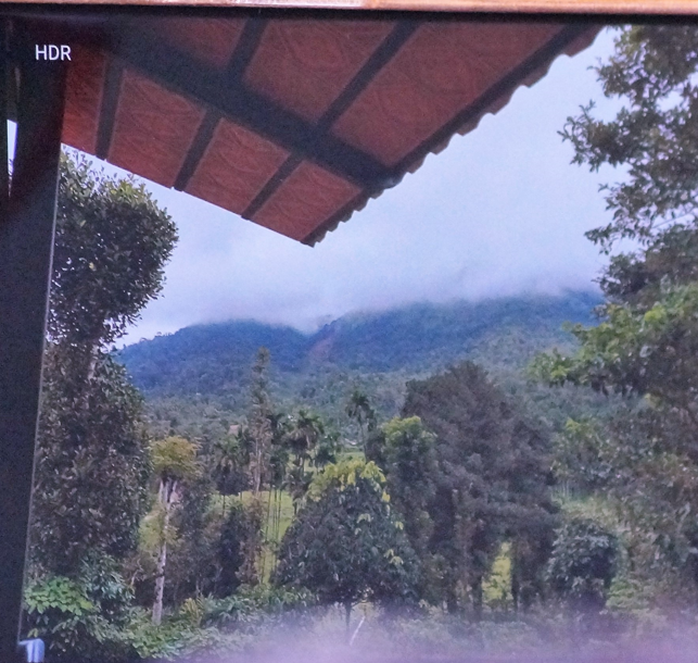 Photo of Chikmagalur and Ranijhari - Our Enchanting Vacation After 2 Years by Rajashree Ghosh
