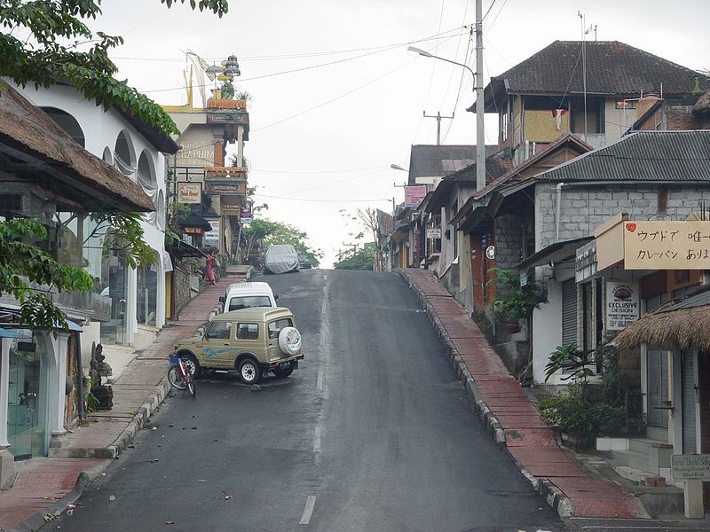 Photo of A Day Trip to Monkey Forest in Ubud, Bali – What to Expect 4/5 by Peaushan Devanarayana