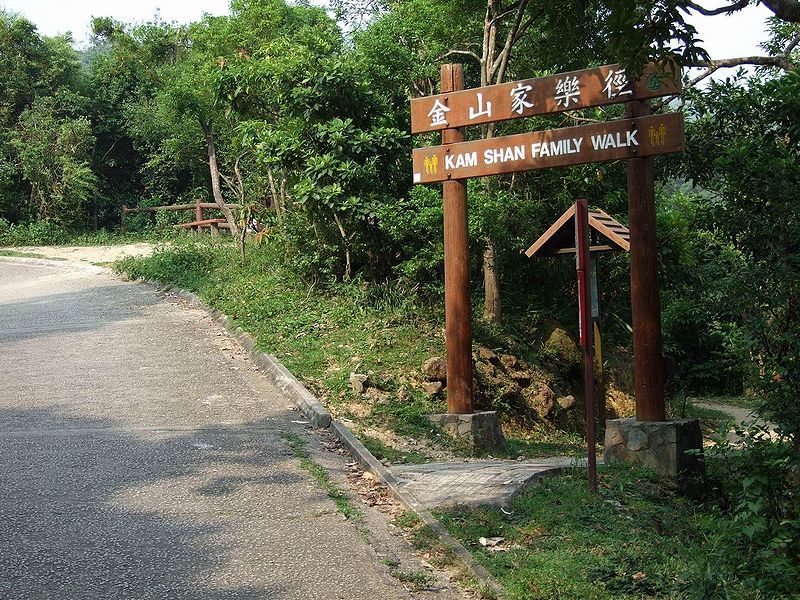 Photo of Best National Parks in Hong Kong – Where Wildlife Thrive 3/4 by Peaushan Devanarayana