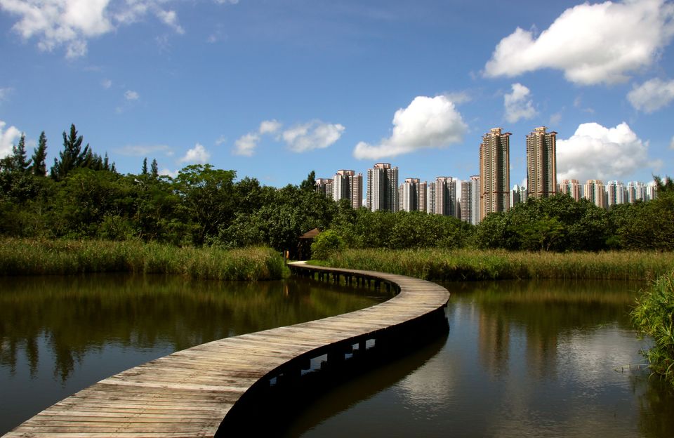Photo of Best National Parks in Hong Kong – Where Wildlife Thrive 4/4 by Peaushan Devanarayana