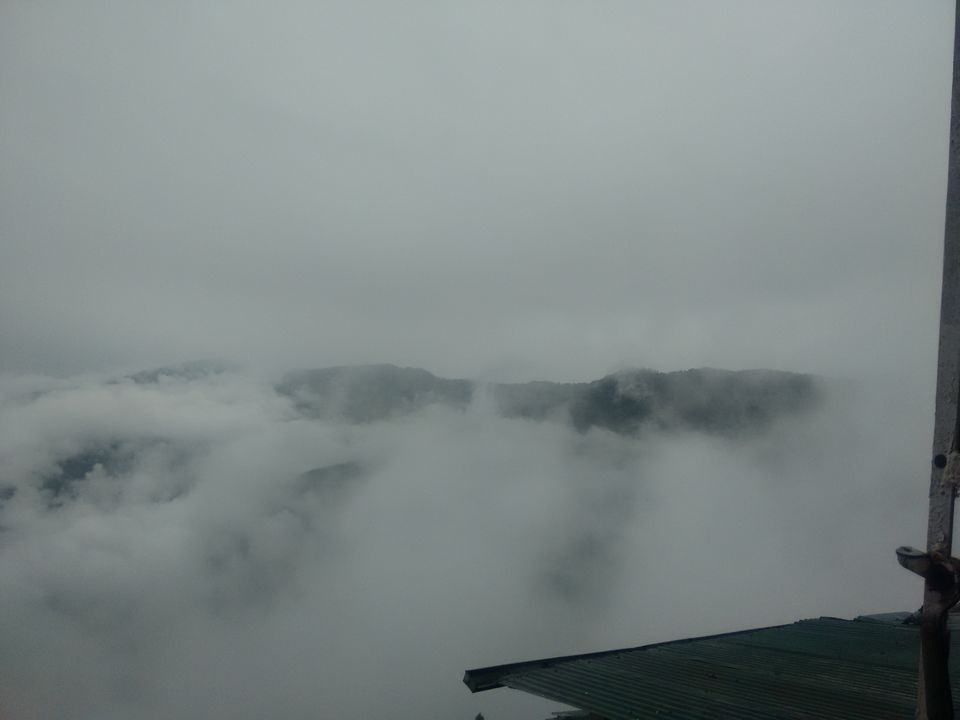 Photo of Darjeeling (Queen of Hills) Trip by Vaibhav Mishra