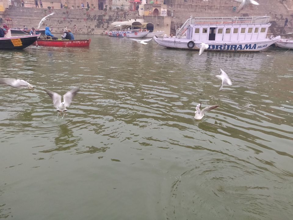 Photo of The Religious Capital of India- VARANASI 38/44 by Vaibhav Mishra