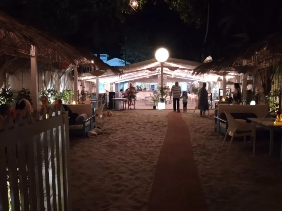 Photo of Tomatos, Morjim, Goa, India by Arundhati Bhunia