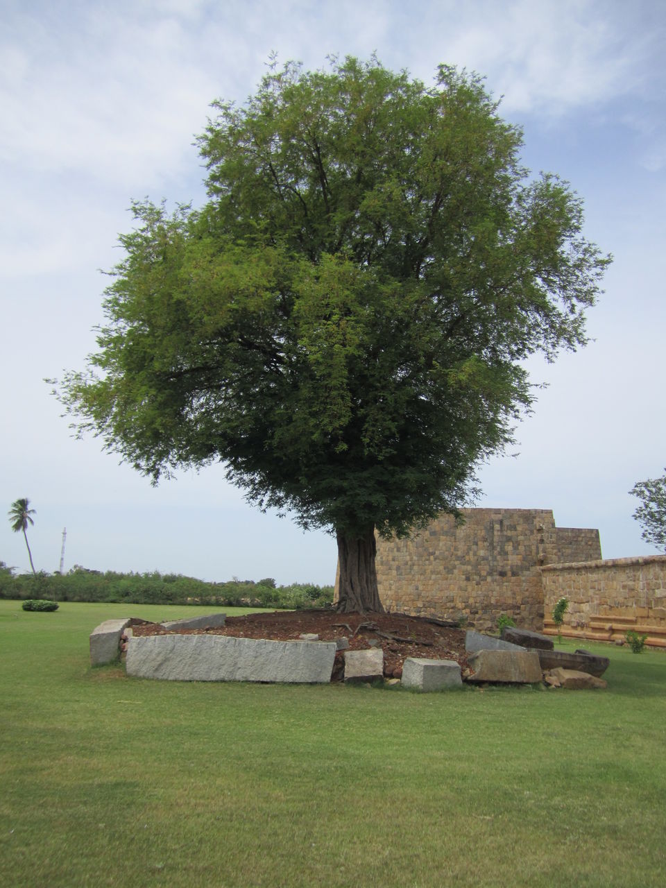Photo of The Great Chola Temples 20/20 by Karthik Vivek