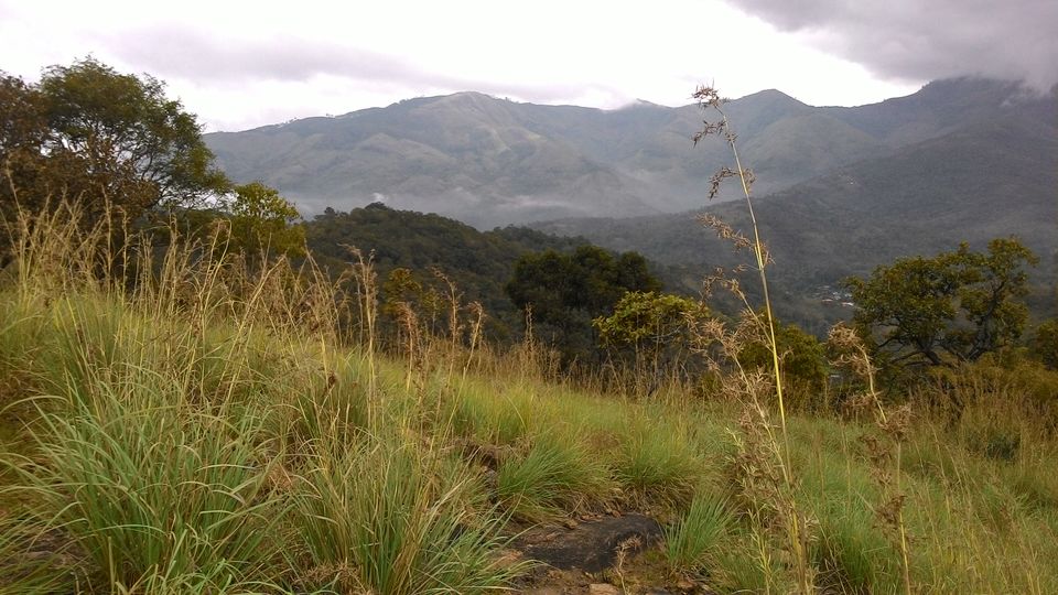 Photo of Bittersweet Escapade to Kodai-Palani Hills 4/10 by Karthik Vivek