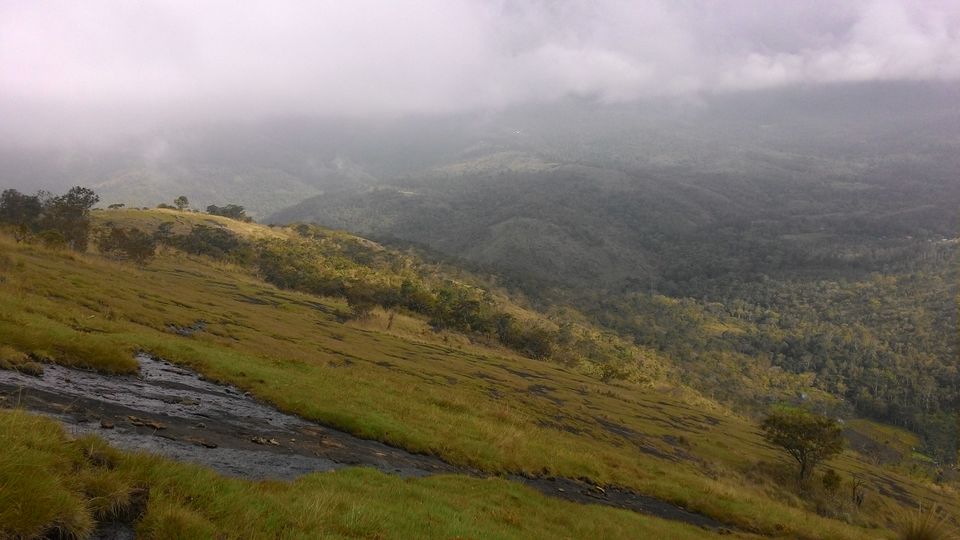 Photo of Bittersweet Escapade to Kodai-Palani Hills 9/10 by Karthik Vivek