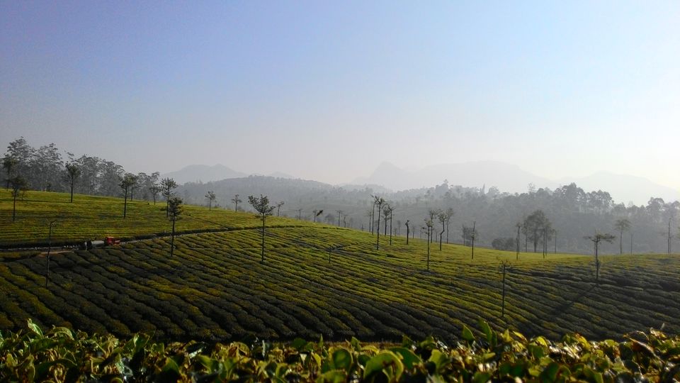 Photo of On the Road Again – Valparai to Fort Kochi 2/10 by Karthik Vivek
