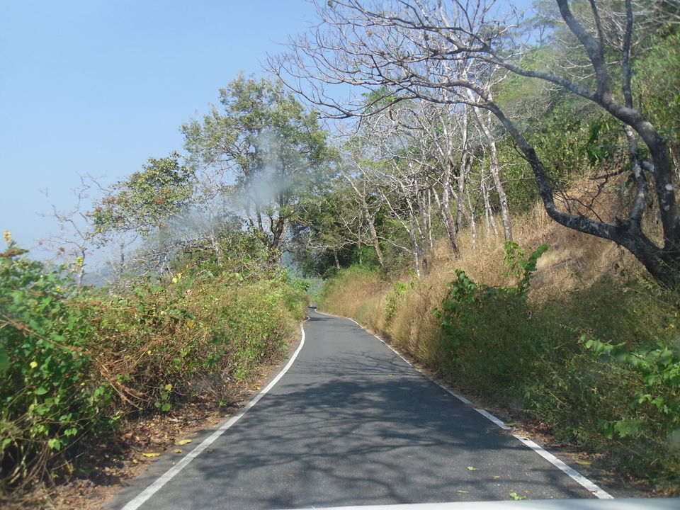 Photo of On the Road Again – Valparai to Fort Kochi 10/10 by Karthik Vivek