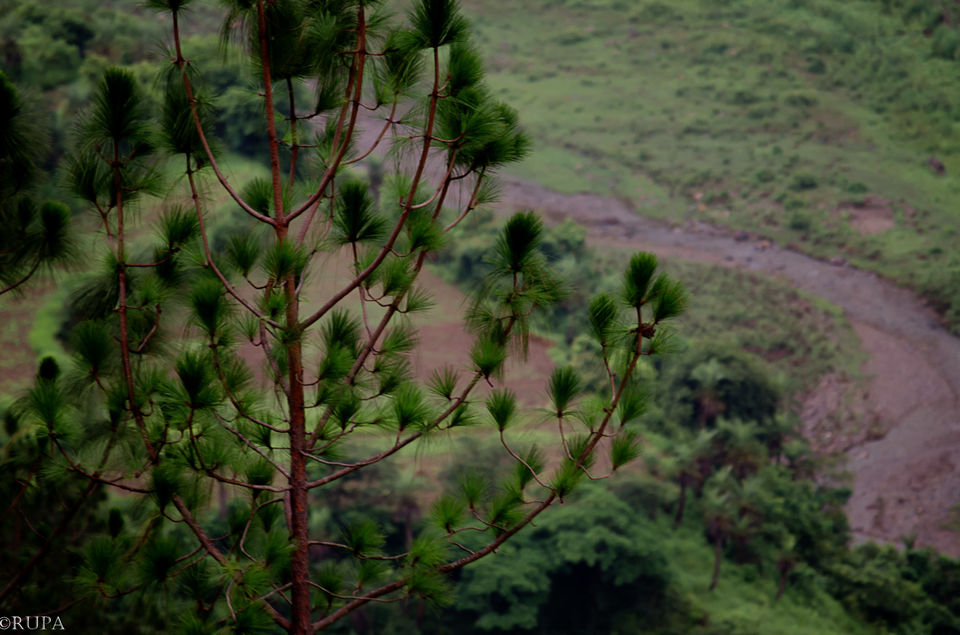 Photo of Kausani, Uttarakhand, India by Rupa Majumder