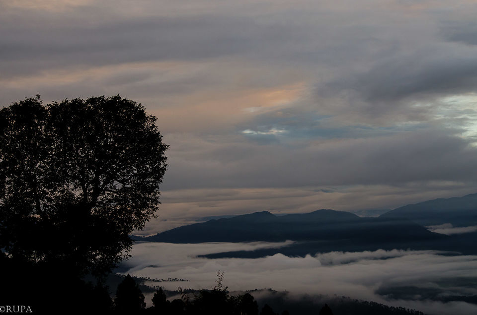 Photo of #Kausani, Uttarakhand ( Ranikhet/Nainital)- Paradise of Nature Lovers#TripotoTakeMeToHimalayas by Rupa Majumder
