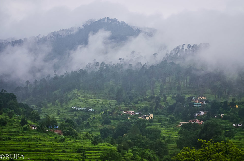 Photo of #Kausani, Uttarakhand ( Ranikhet/Nainital)- Paradise of Nature Lovers#TripotoTakeMeToHimalayas by Rupa Majumder