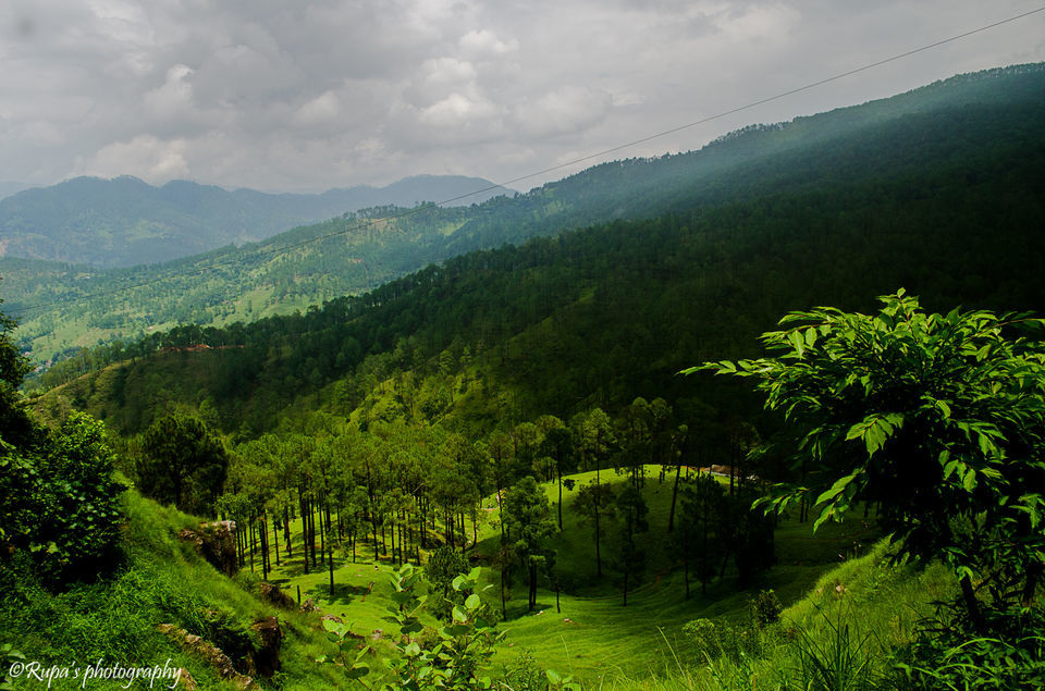 Photo of #Kausani, Uttarakhand ( Ranikhet/Nainital)- Paradise of Nature Lovers#TripotoTakeMeToHimalayas by Rupa Majumder