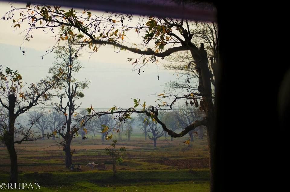 Photo of Two nights in Bangriposhi #Tripoto by Rupa Majumder Datta