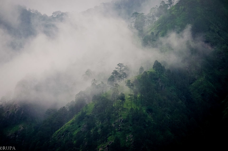 Photo of #Kausani, Uttarakhand ( Ranikhet/Nainital)- Paradise of Nature Lovers#TripotoTakeMeToHimalayas by Rupa Datta Majumder