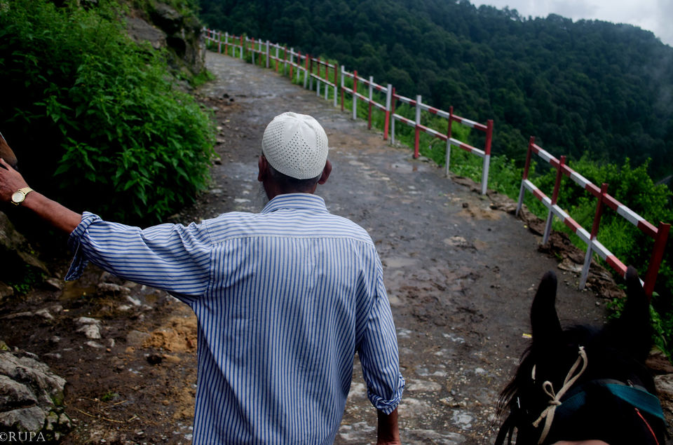 Photo of #Kausani, Uttarakhand ( Ranikhet/Nainital)- Paradise of Nature Lovers#TripotoTakeMeToHimalayas by Rupa Majumder