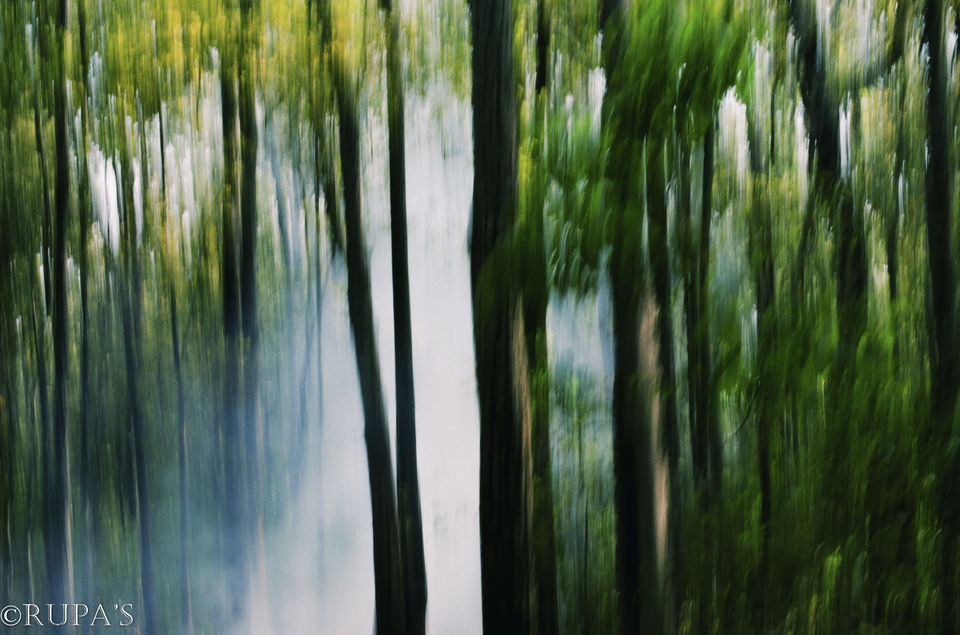 Photo of Feel of Silence by Rupa Majumder Datta