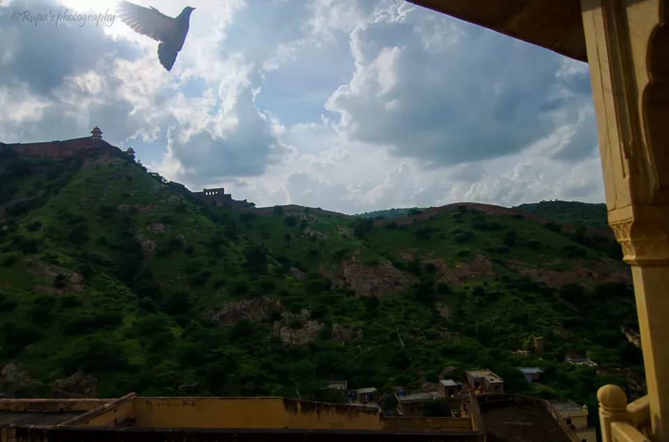 Photo of Amber Palace, Amer, Jaipur, Rajasthan, India by Rupa Datta Majumder