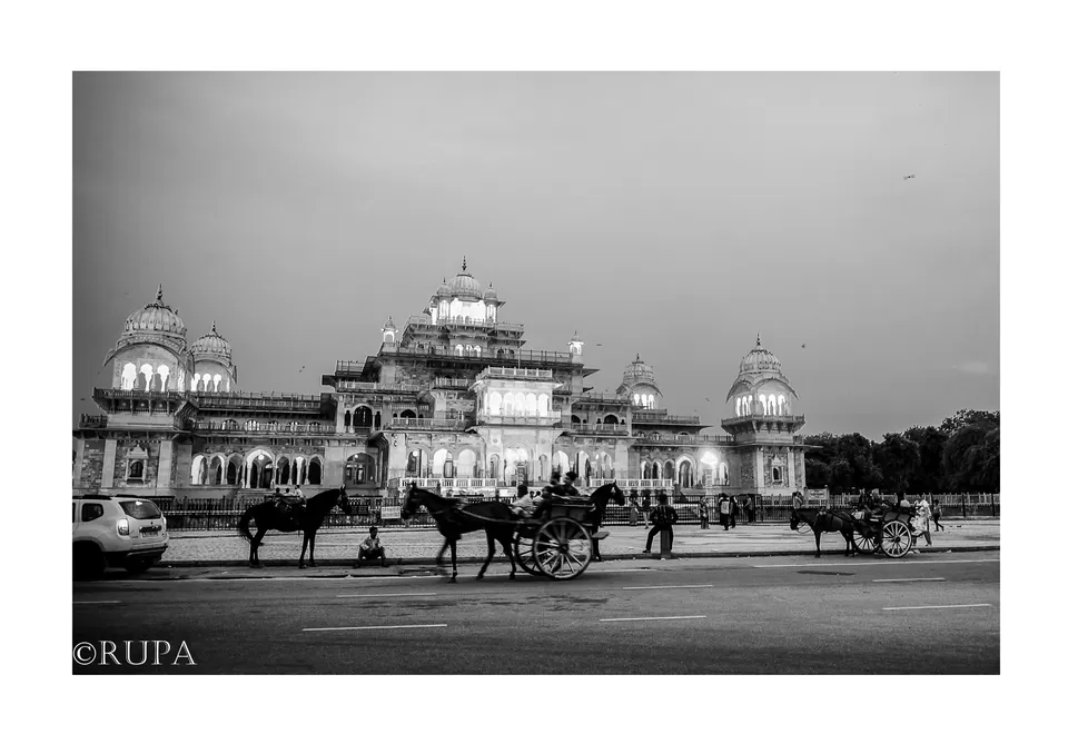 Photo of Albert Hall Museum, Jaipur, Rajasthan, India by Rupa Datta Majumder