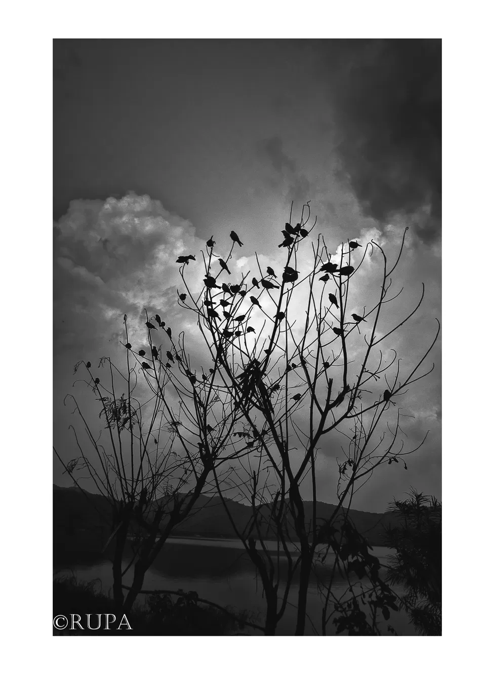 Photo of Jaipur City Centre, Jaipur, Rajasthan, India by Rupa Datta Majumder