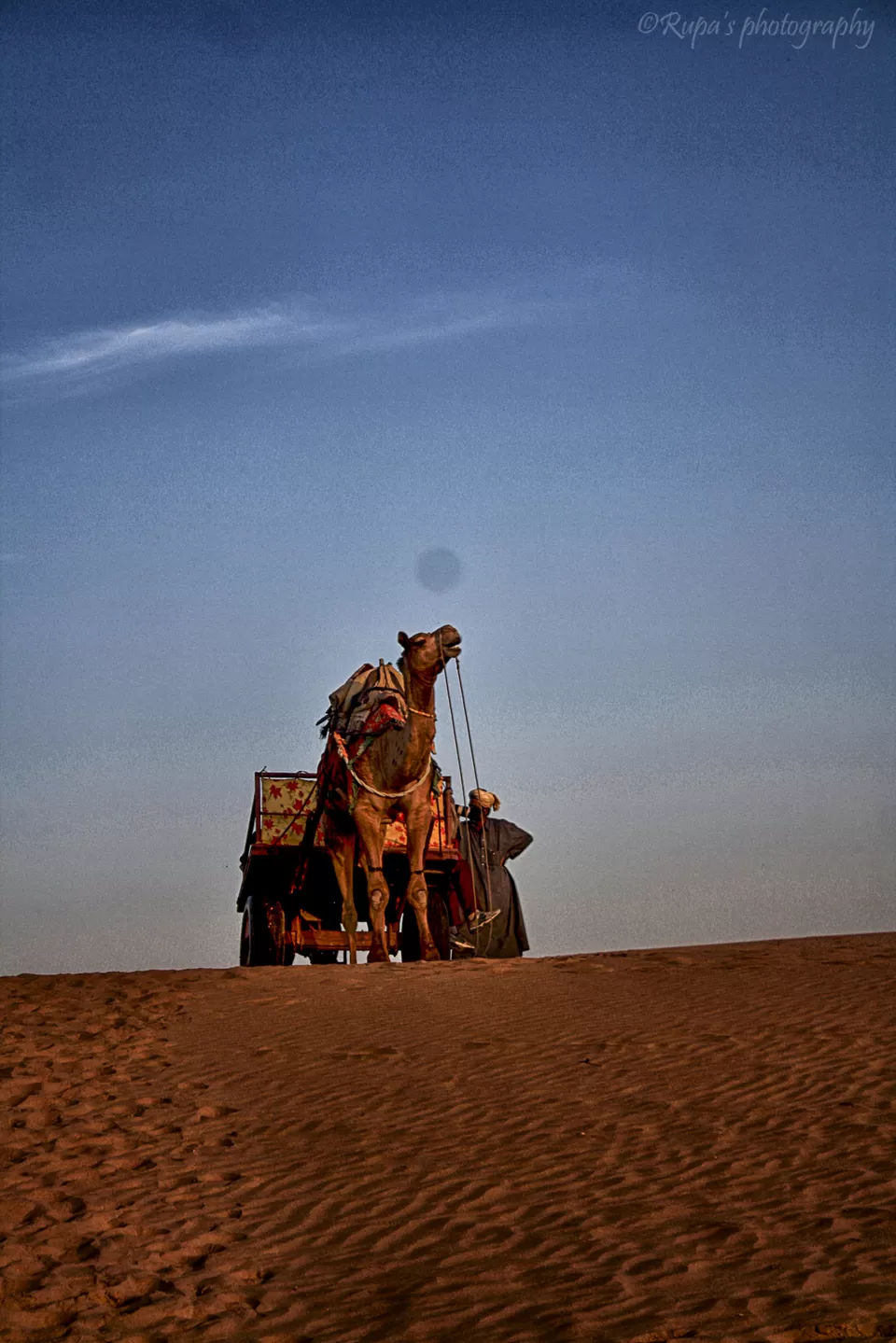 Photo of Sam Sand Dunes, Kanoi, Rajasthan, India by Rupa Datta Majumder