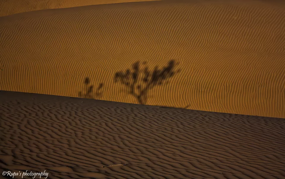 Photo of Khuri, Rajasthan, India by Rupa Datta Majumder
