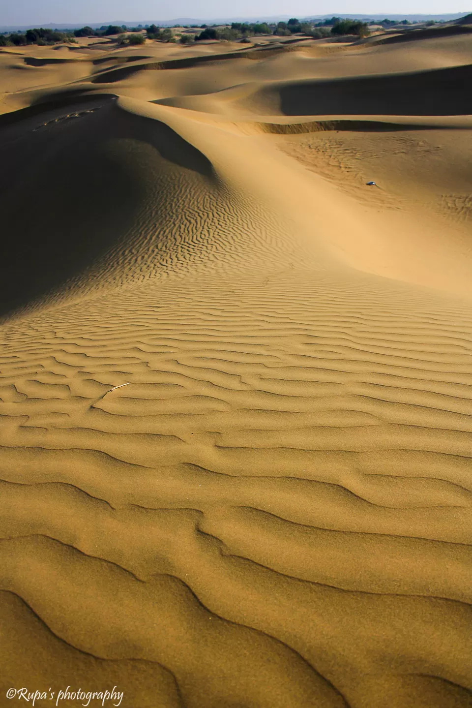 Photo of Khuri, Rajasthan, India by Rupa Datta Majumder