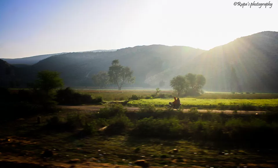 Photo of Aravalli Range by Rupa Datta Majumder