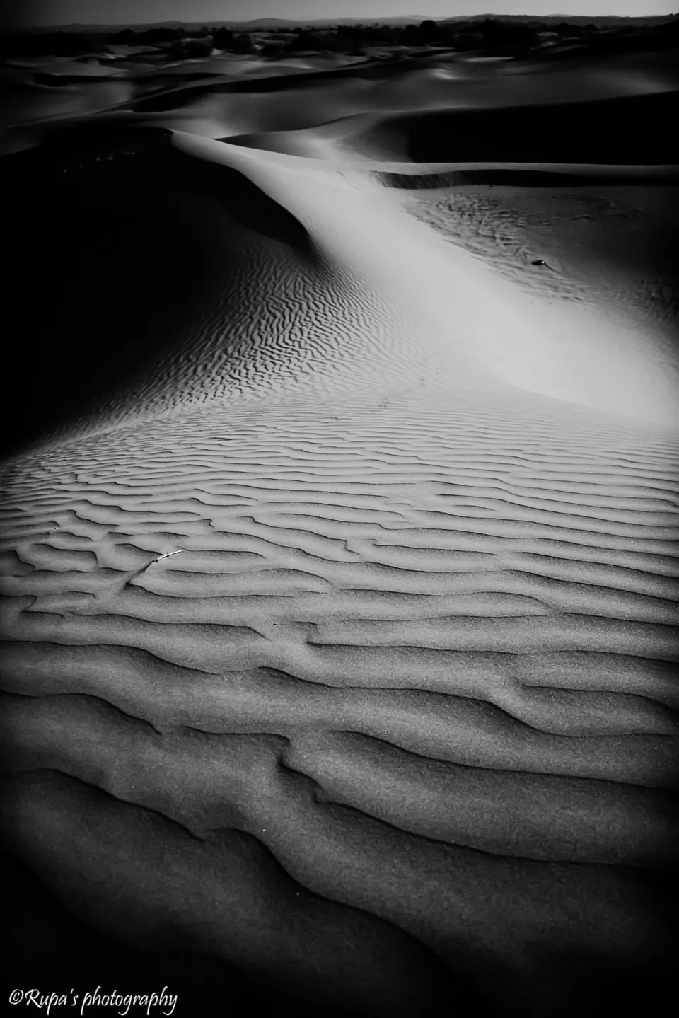 Photo of Khuri, Rajasthan, India by Rupa Datta Majumder