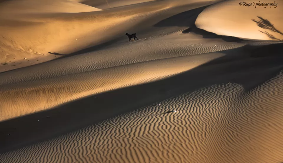 Photo of Khuri, Rajasthan, India by Rupa Datta Majumder
