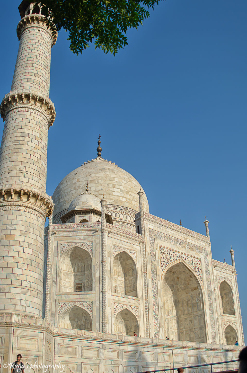 Photo of Taj Mahal, Agra, Uttar Pradesh, India by Rupa Majumder