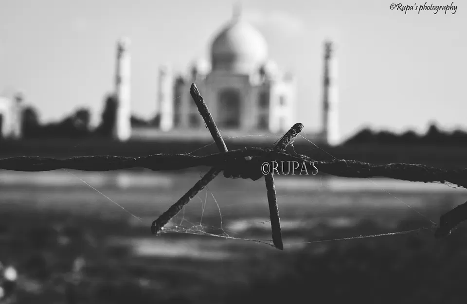 Photo of Mehtab Bagh, Agra, Uttar Pradesh, India by Rupa Datta Majumder