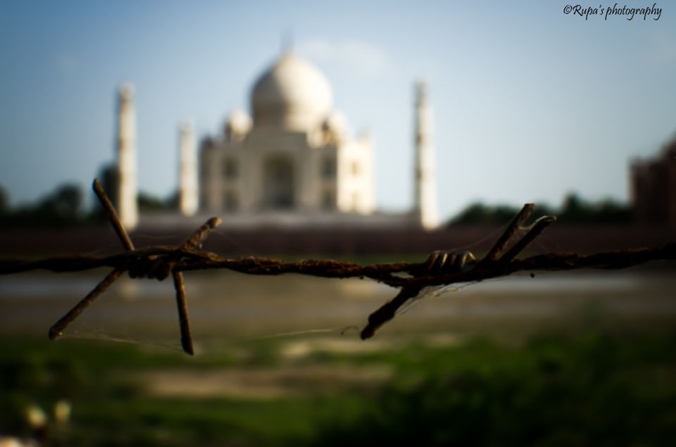 Photo of THE TAJ-- White Goddess, A Poetry! #TAJMAHAL by Rupa Datta Majumder