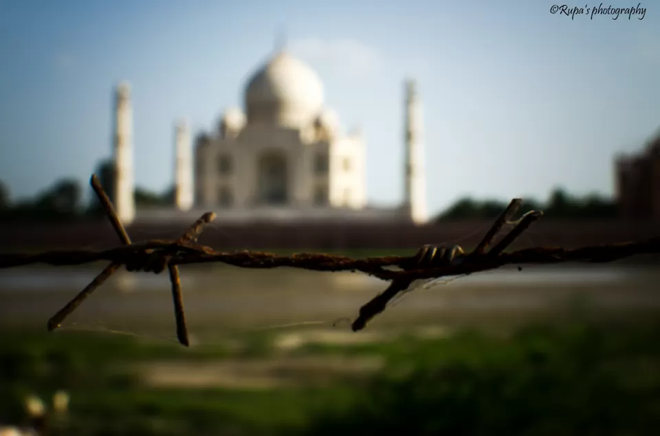 Photo of Mehtab Bagh, Agra, Uttar Pradesh, India by Rupa Datta Majumder