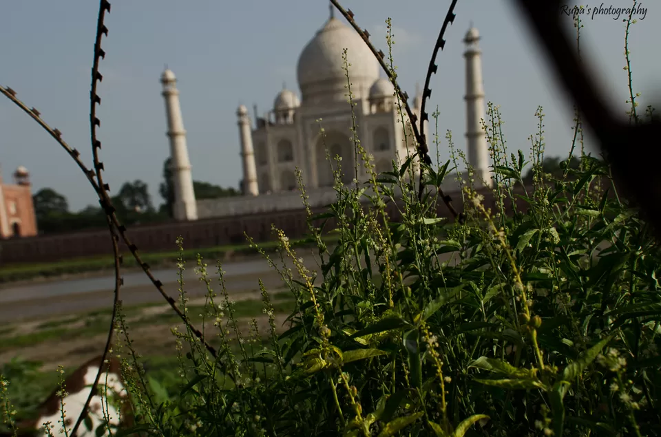 Photo of Mehtab Bagh, Agra, Uttar Pradesh, India by Rupa Datta Majumder