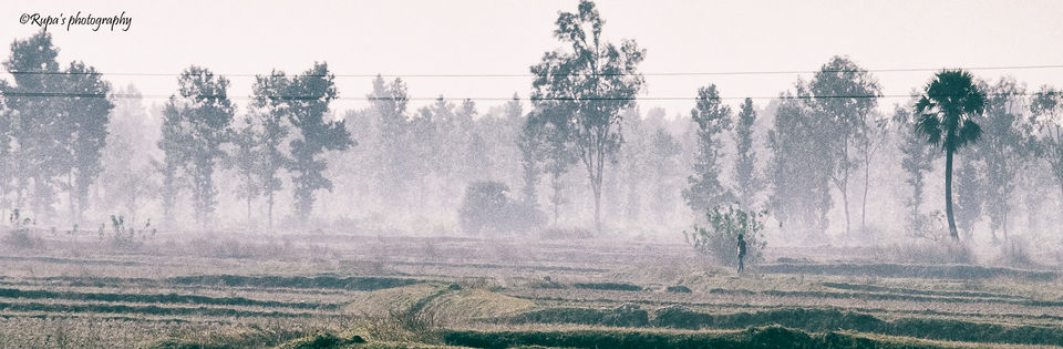 Photo of Shalboni-- A weekend trip in the midst of woods #Garhshalboni by Rupa Datta Majumder