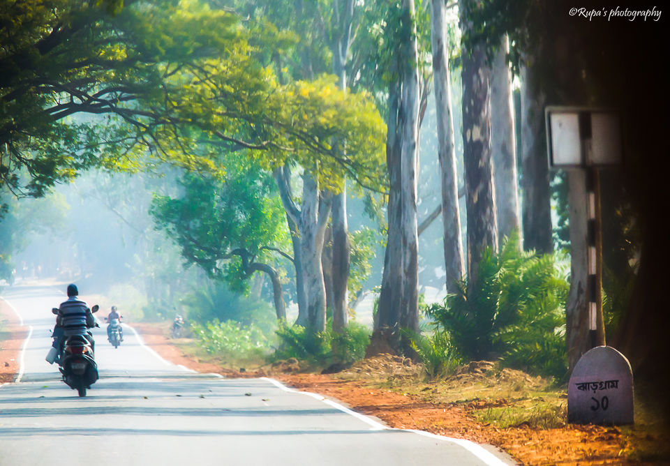 Photo of Salboni, West Bengal, India by Rupa Majumder