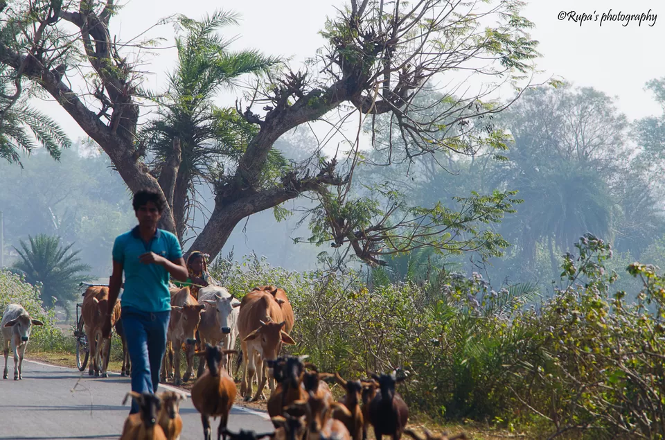Photo of Salboni, West Bengal, India by Rupa Datta Majumder