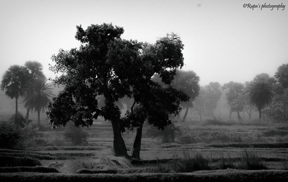 Photo of Shalboni-- A weekend trip in the midst of woods #Garhshalboni by Rupa Majumder